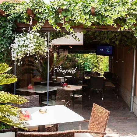 Guest house Pensiunea Ingrid 4*