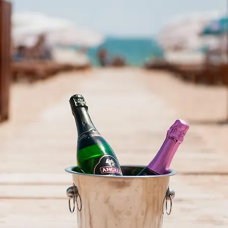 Гостевой дом Pensiunea Ingrid 4*