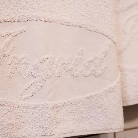 Гостевой дом Pensiunea Ingrid