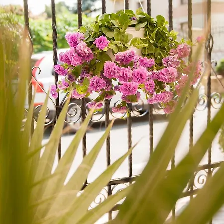 Pensiunea Ingrid Эфорие Норд