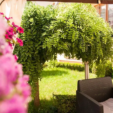 Maison d'hôtes Pensiunea Ingrid